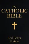 Catholic Bible synopsis, comments