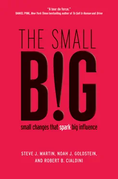 the small big book cover image
