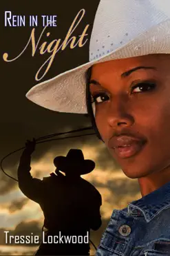 rein in the night book cover image