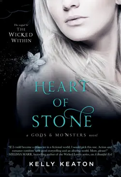 heart of stone book cover image