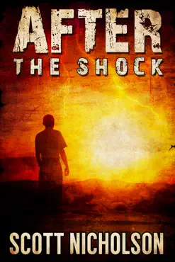 after: the shock book cover image
