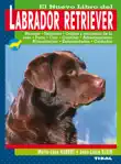 Labrador retriever sinopsis y comentarios