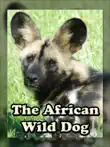 The African Wild Dog synopsis, comments