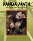 Panda Math sinopsis y comentarios