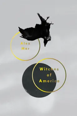 witches of america book cover image