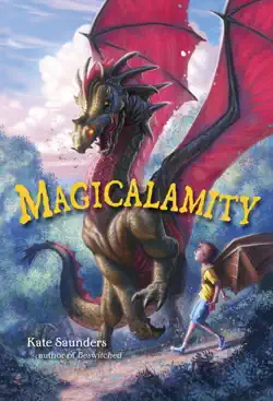 magicalamity imagen de la portada del libro