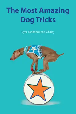 the most amazing silly dog tricks book cover image