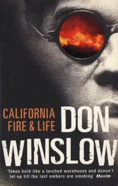 california fire and life imagen de la portada del libro