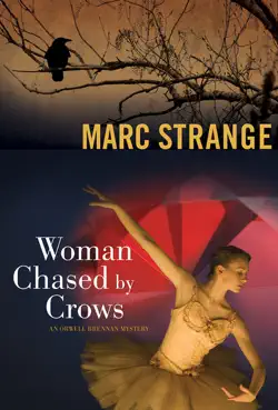 woman chased by crows book cover image