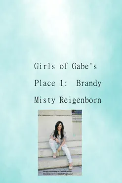girls of gabe's place 1: brandy book cover image