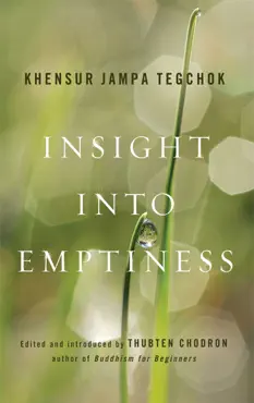 insight into emptiness book cover image