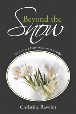 beyond the snow imagen de la portada del libro