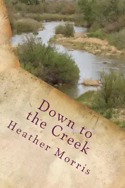 down to the creek- book 1 of the colvin series book cover image