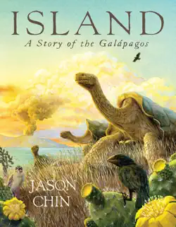 island book cover image