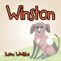 winston book cover image