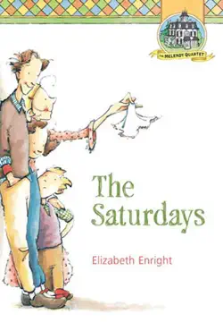 the saturdays book cover image