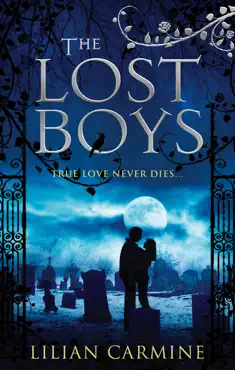 the lost boys book cover image