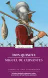 Don Quixote sinopsis y comentarios