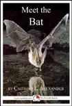 Meet the Bat: A 15-Minute Book for Early Readers sinopsis y comentarios