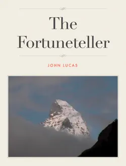 the fortuneteller book cover image