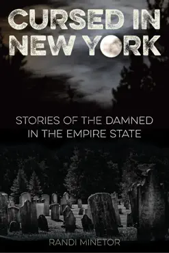 cursed in new york book cover image