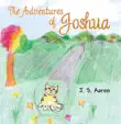 The Adventures of Joshua synopsis, comments