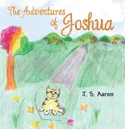 the adventures of joshua book cover image