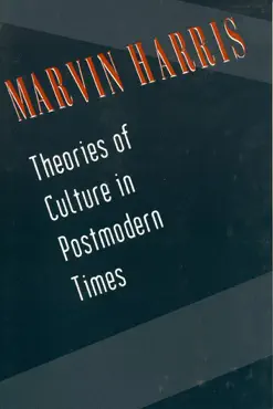 theories of culture in postmodern times book cover image