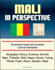 Mali in Perspective: Orientation Guide and Tamashek Cultural Orientation: Geography, History, Economy, Security, Niger, Timbuktu, Kidal, Dogon, Senufo, Tuareg, Mande, Fulani, Maure, Bamako, Mopti sinopsis y comentarios