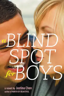 a blind spot for boys book cover image