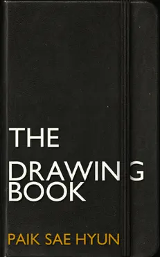 the drawing book book cover image