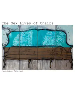 the sex lives of chairs book cover image