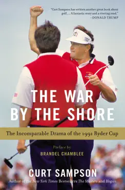 the war by the shore book cover image