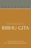 The essence of Ribhu Gita synopsis, comments