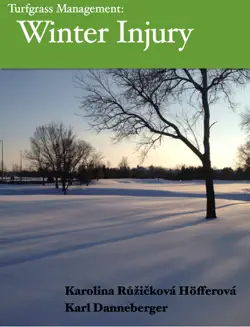 winter injury imagen de la portada del libro