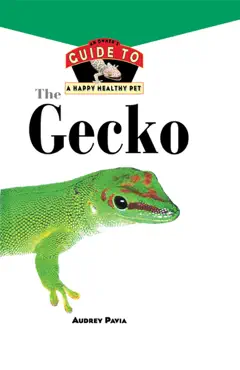 the gecko book cover image