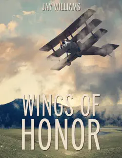 wings of honor book cover image