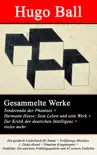 Gesammelte Werke: Tenderenda der Phantast + Hermann Hesse: Sein Leben und sein Werk + Zur Kritik der deutschen Intelligenz + vieles mehr sinopsis y comentarios