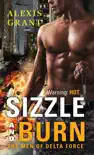 Sizzle and Burn synopsis, comments