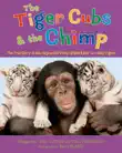 The Tiger Cubs and the Chimp synopsis, comments