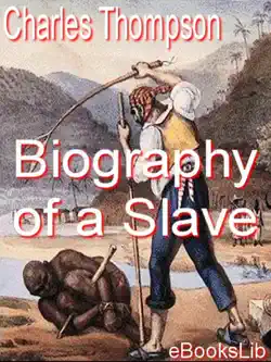 biography of a slave book cover image