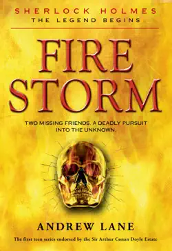 fire storm book cover image