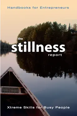 stillness book cover image