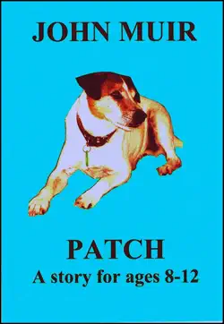 patch book cover image