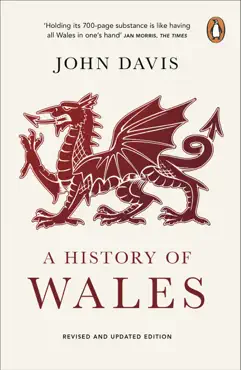 a history of wales book cover image