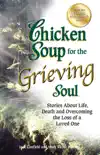 Chicken Soup for the Grieving Soul book summary, reviews and download