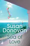 Sea of Love: Bayberry Island Book 1 sinopsis y comentarios