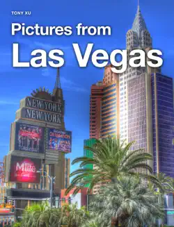 pictures from las vegas book cover image