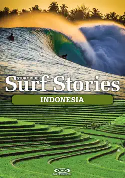 stormrider surf stories indonesia book cover image
