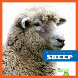 sheep book cover image